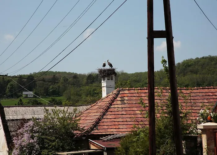 Angel Village